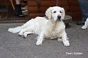IMG_4658 a